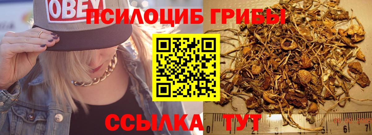 Галлюциногенные грибы Cubensis Вятские Поляны