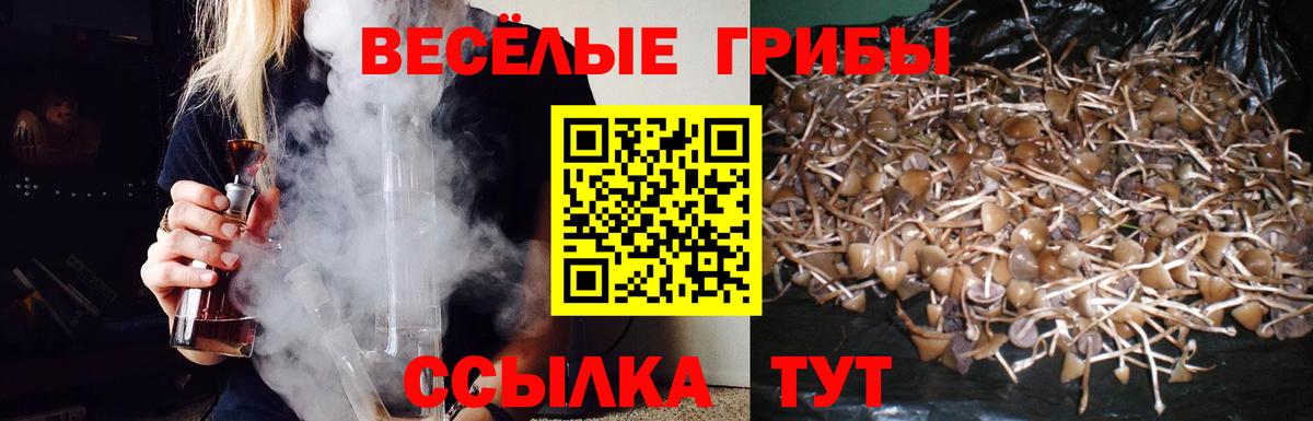 Галлюциногенные грибы Psilocybe  сколько стоит  Вятские Поляны  Псилоцибиновые грибы прущие грибы  Вход с VPN 